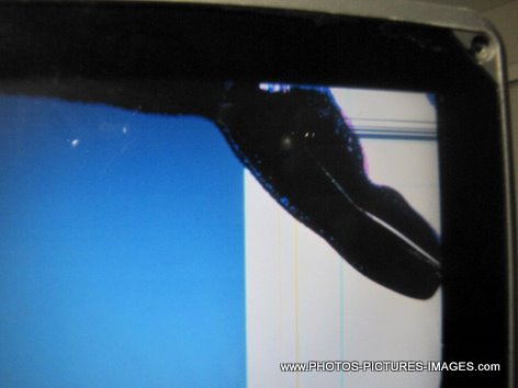 Toshiba Satellite R15 S829 Laptop Screen